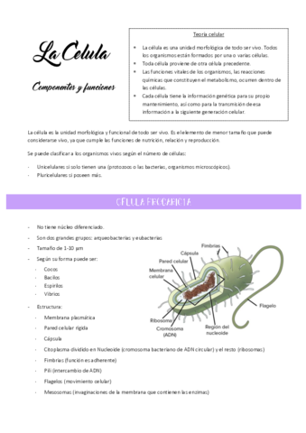 Tema 9-La celula componentes y funcion.pdf