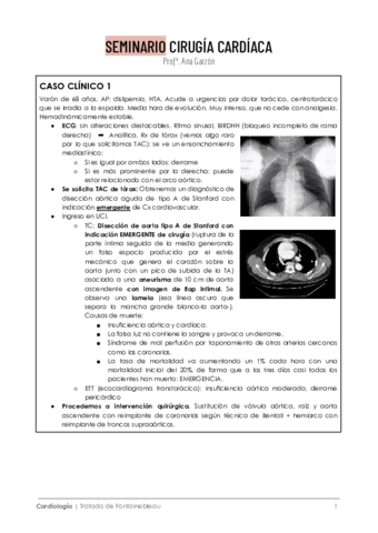 SEMINARIO-LUNES-CIRUGIA-CARDIACA.pdf