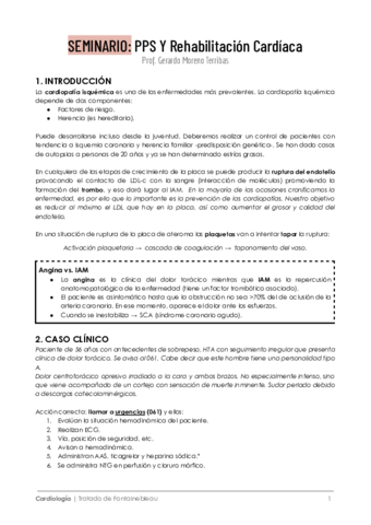 SEMINARIO-VIERNES-PPS-y-RC.pdf