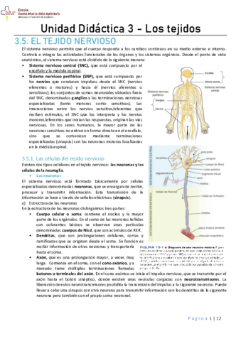 UD3-TEJIDO-NERVIOSO.pdf