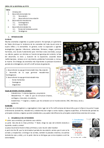 CM16.De la gastula al feto.pdf