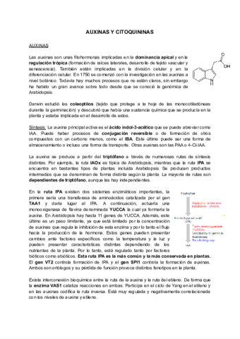 T12-AUXINAS-Y-CITOQUININAS.pdf