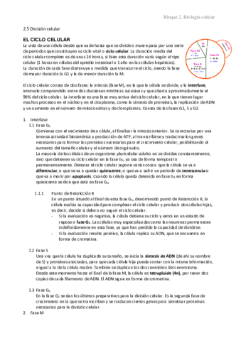 2.5 División celular