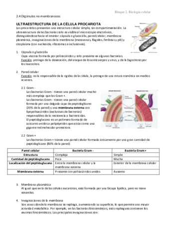 2.4 Orgánulos no membranoso