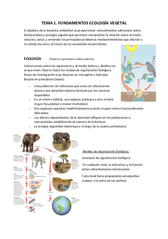 BOTANICA-AMBIENTAL.pdf