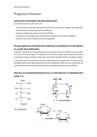 Preguntes-dexamen.pdf