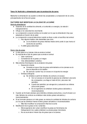 Tema-14.pdf