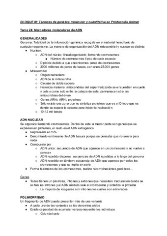 Tema-24.pdf