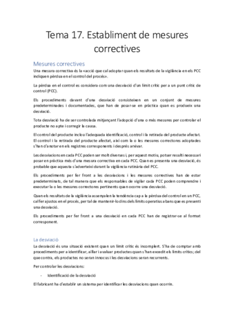 Tema-17.-Establiment-de-mesures-correctives-MONTORO.pdf