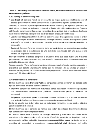 Temario-Derecho-Penal-Completo.pdf