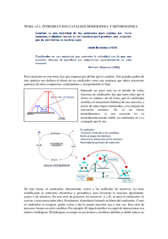 TEMA-14.pdf