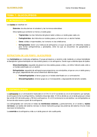 TEMA-7Glicolipidos.pdf