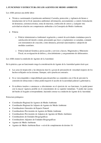 Tema-completo.pdf