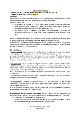 TEMA-12-D-Procesal-Penal-.pdf