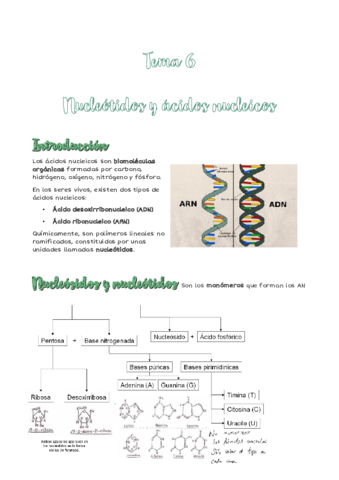 Tema-6-biologia.pdf