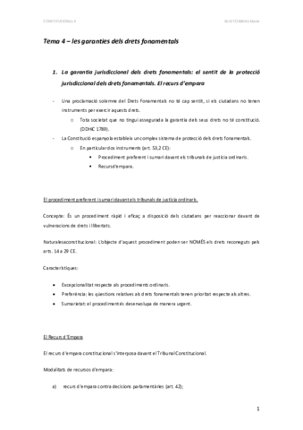 Tema-4-garanties-dels-drets-fonamentals.pdf