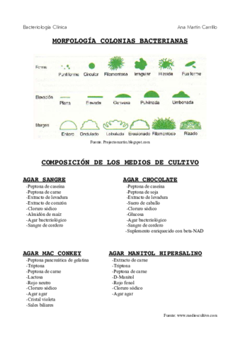 morfologiasymedios.pdf