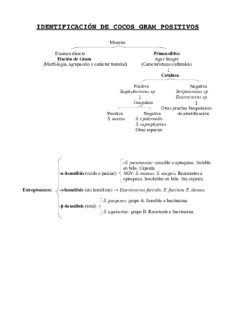 identificacioncocosgrampositivos.pdf