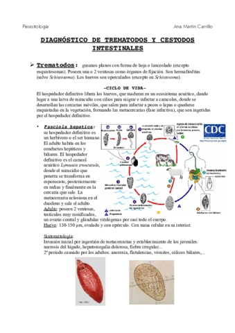 trematodosycestodos.pdf