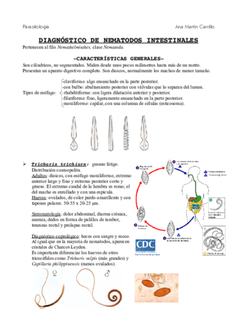 nematodosintestinales.pdf