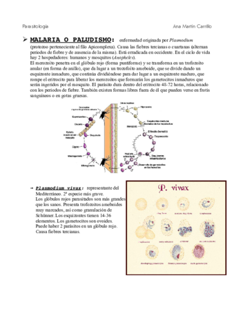 plasmodiumybabesia.pdf