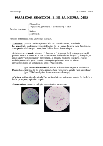 hematicos.pdf