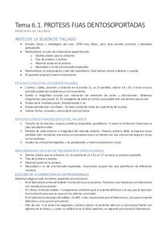 TEMA-6.1 PROT.pdf