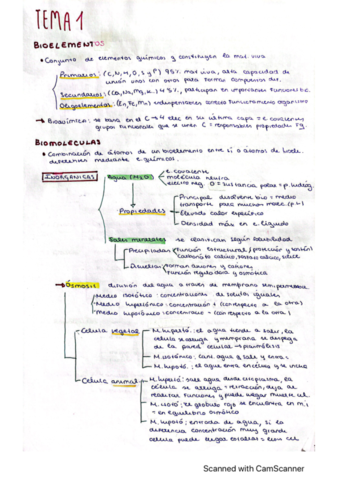 bioquimica.pdf