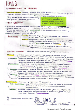 reproduccion-celular.pdf