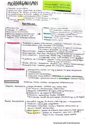 microorganismos.pdf
