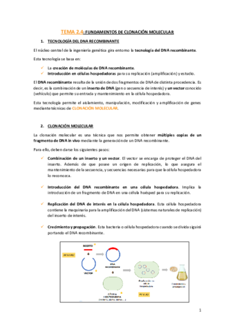 TEMA-2.pdf