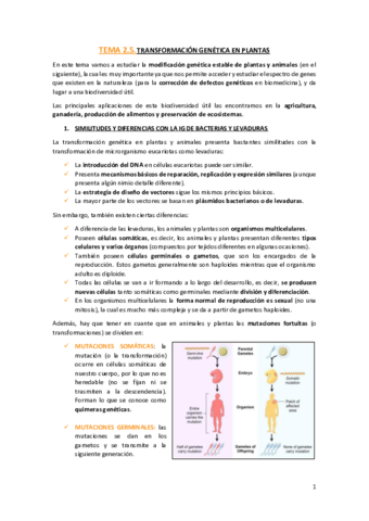 TEMA-2.pdf