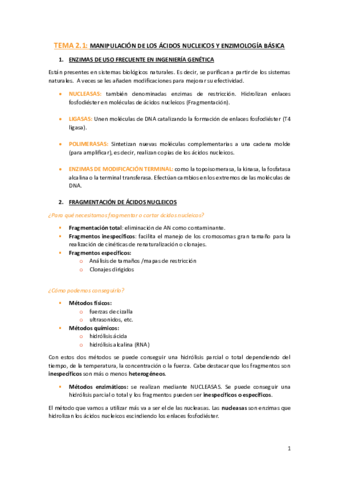 TEMA-2.pdf