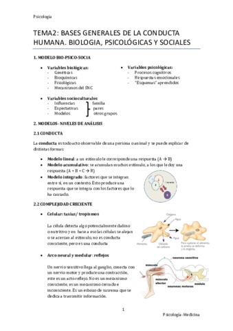 Tema-2.pdf