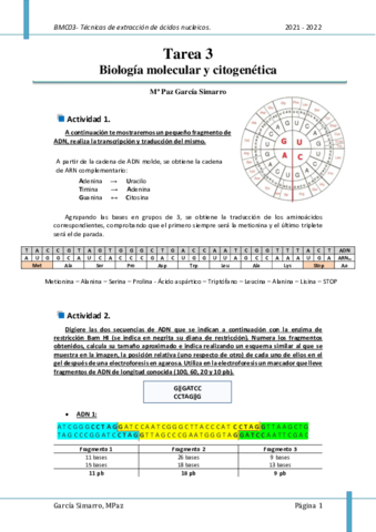 BMC Tarea 3.pdf