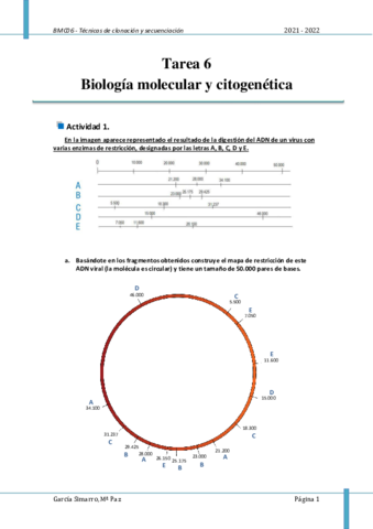 BMC Tarea 6.pdf