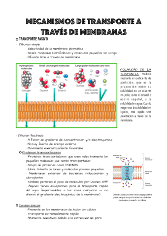 TEMA-3.pdf