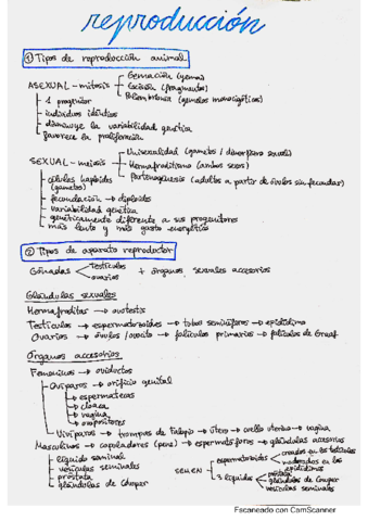 Reproduccion.pdf