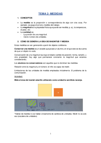 TEMA-2.pdf