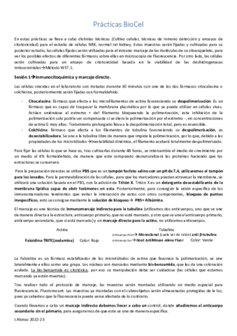 Practicas-BioCel-Resumen.pdf