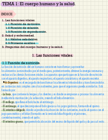 Naturales-EL-CUERPO-HUMANO.pdf