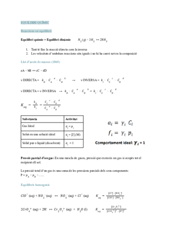 Bloc-III-Equilibri-Quimic-.pdf