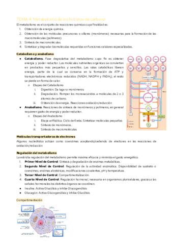 TEMA-4.pdf