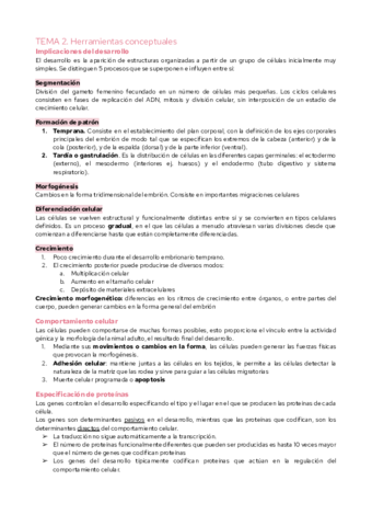 TEMA-2.pdf