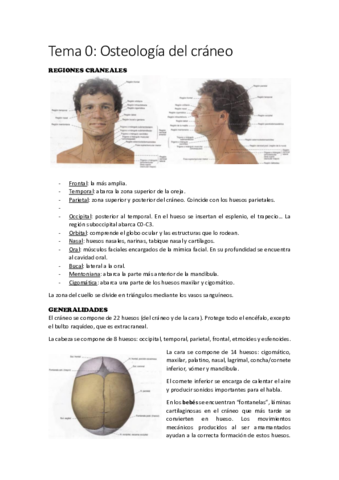 Anatomia-II-Todo-el-curso.pdf