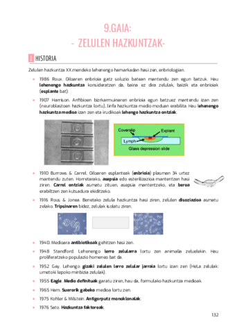 Azken-blokea-hazkuntzak.pdf