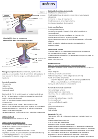 Semiologia-de-hipofisis.pdf