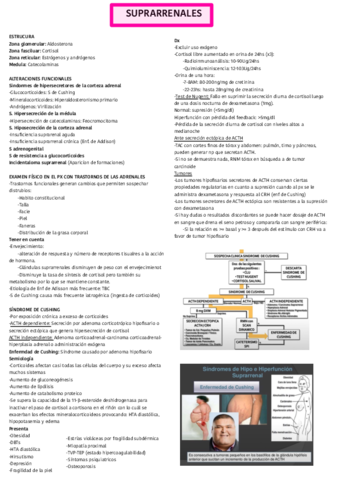 Semiologia-Adrenal.pdf