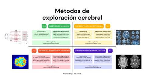 Metodos-de-exploracion-cerebral.pdf