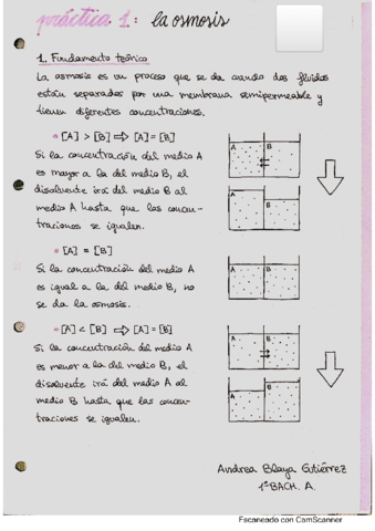 Practica-1-la-osmosis.pdf